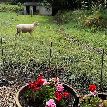 La Pandela Guest House ลาสเอเรริยาส ภายนอก รูปภาพ