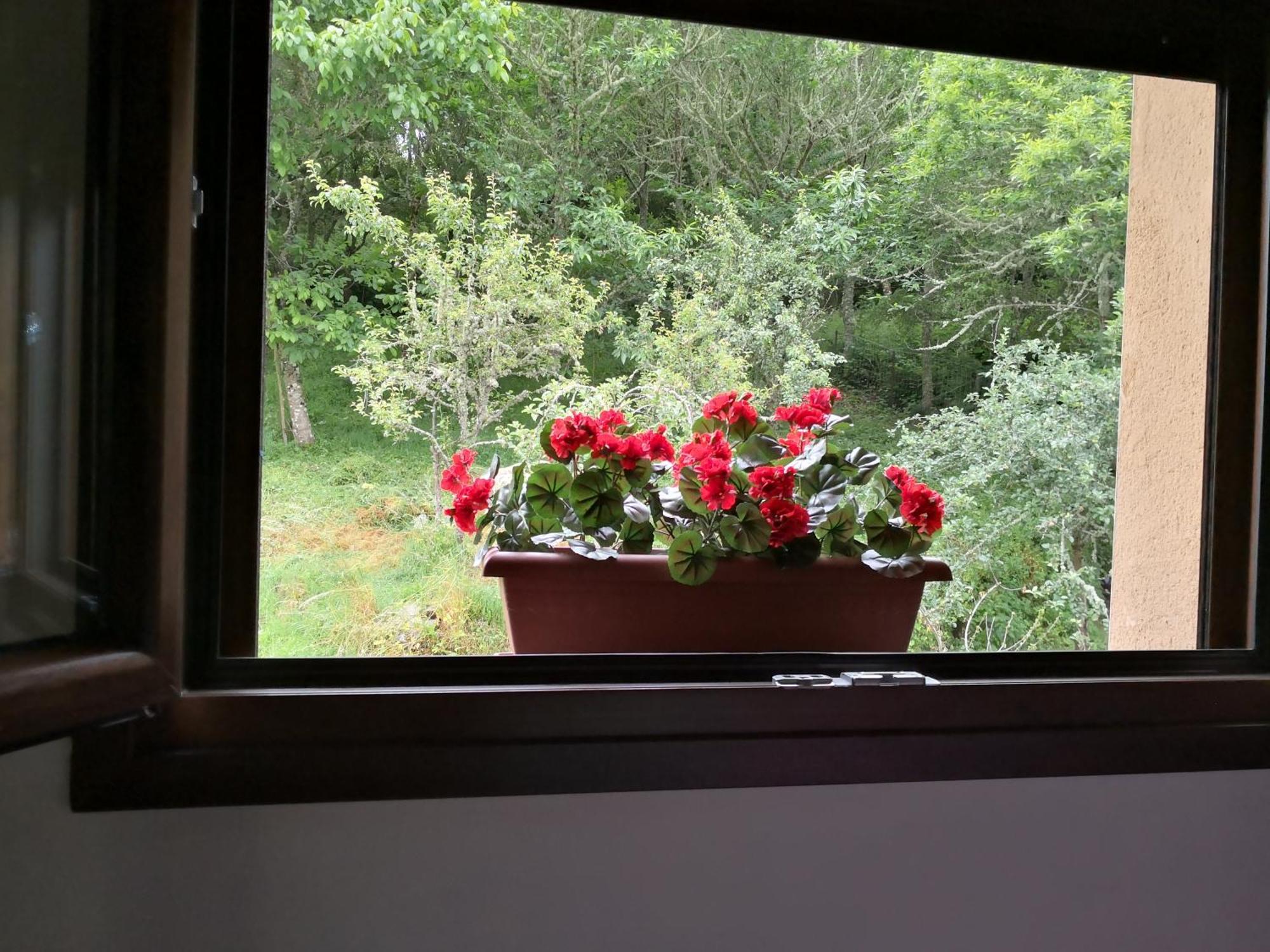 La Pandela Guest House ลาสเอเรริยาส ห้อง รูปภาพ