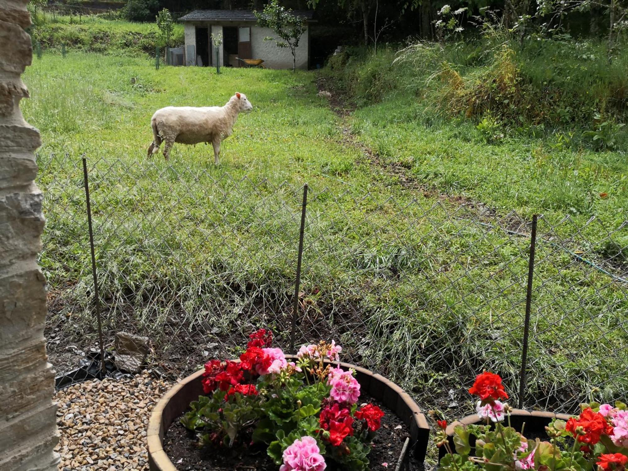 La Pandela Guest House ลาสเอเรริยาส ภายนอก รูปภาพ